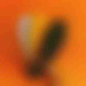 Ortopedski ulošci sa tačkama za masažu | STEPEASE